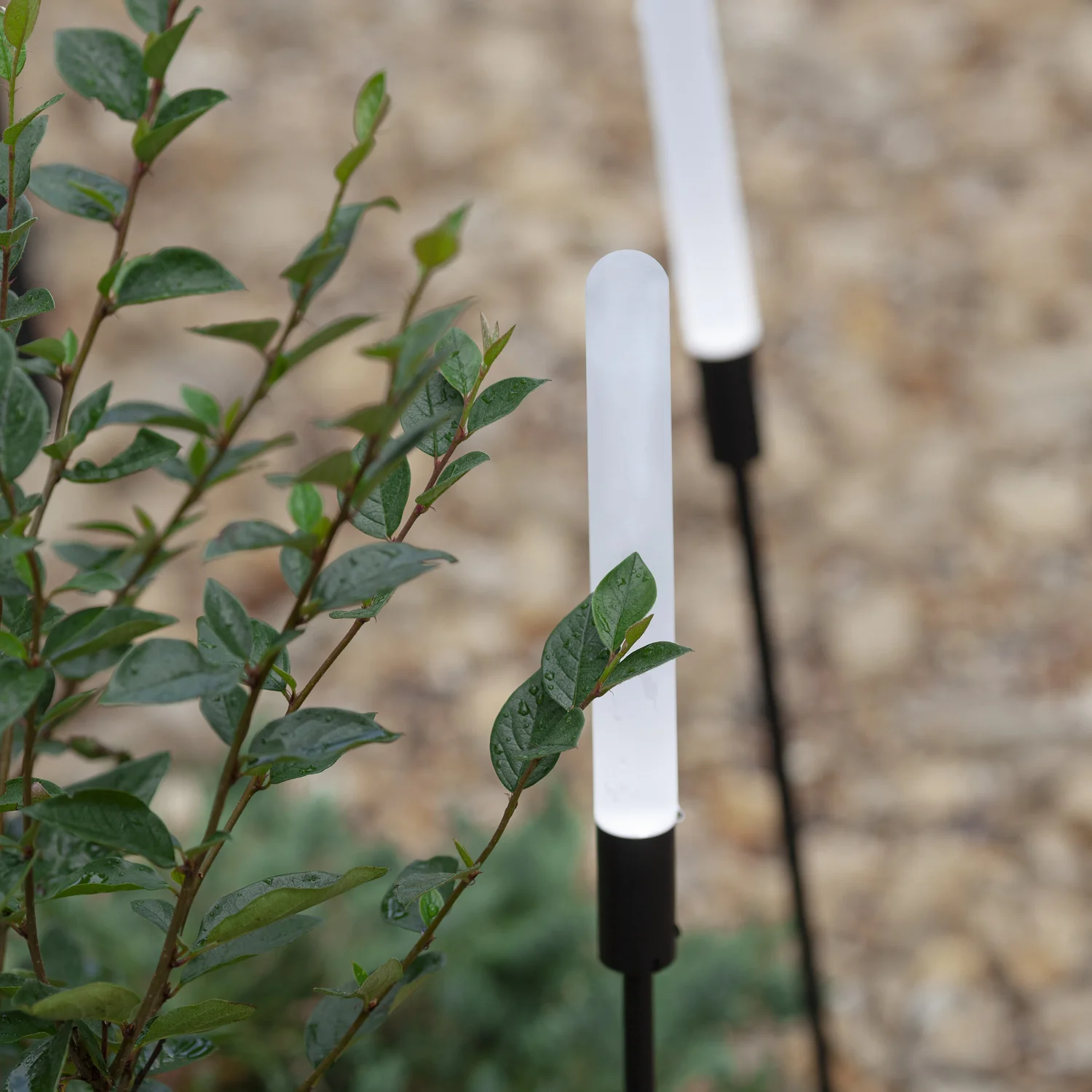 4048-3T Ландшафтные светильники Favourite 4048-3T Reedy