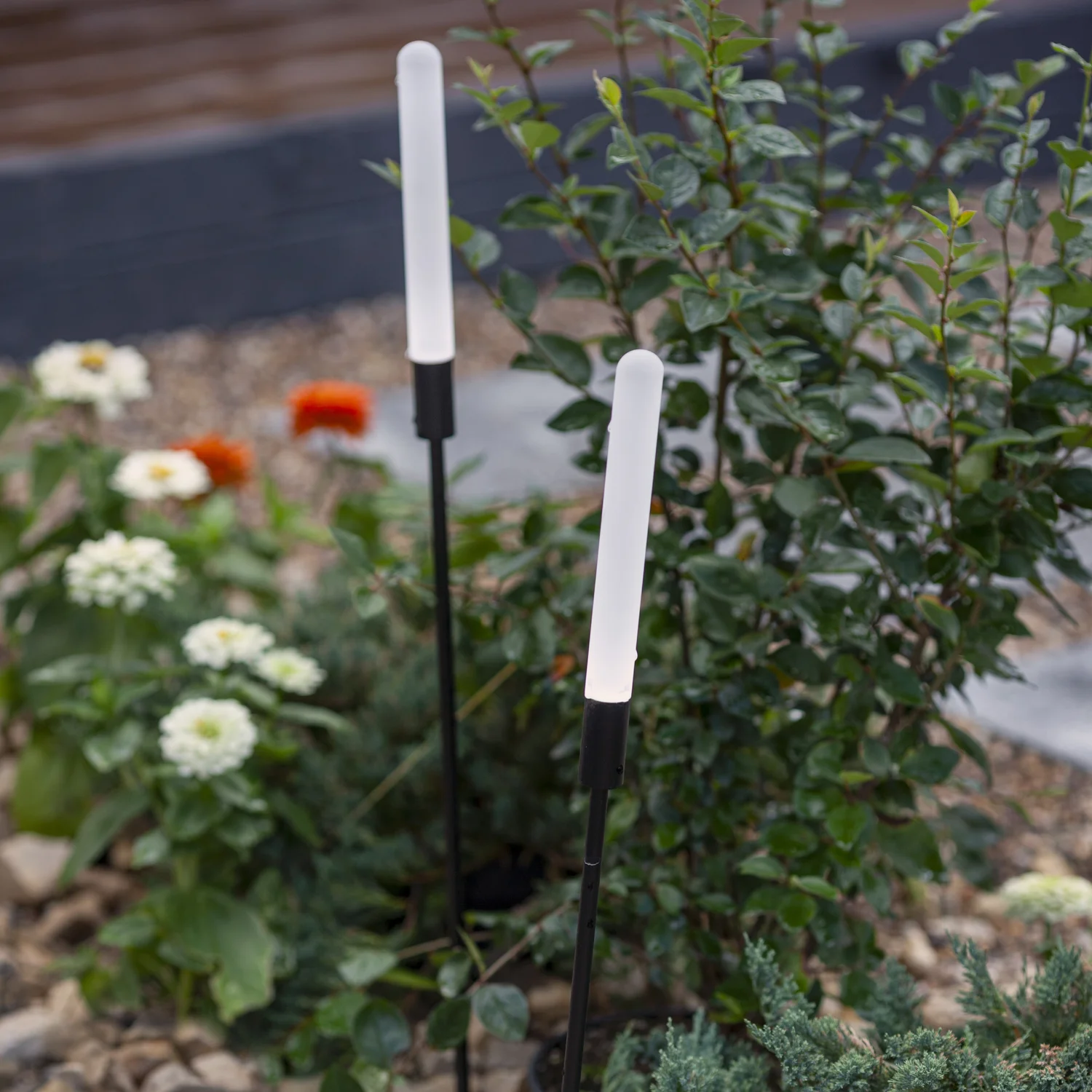 4048-3T Ландшафтные светильники Favourite 4048-3T Reedy