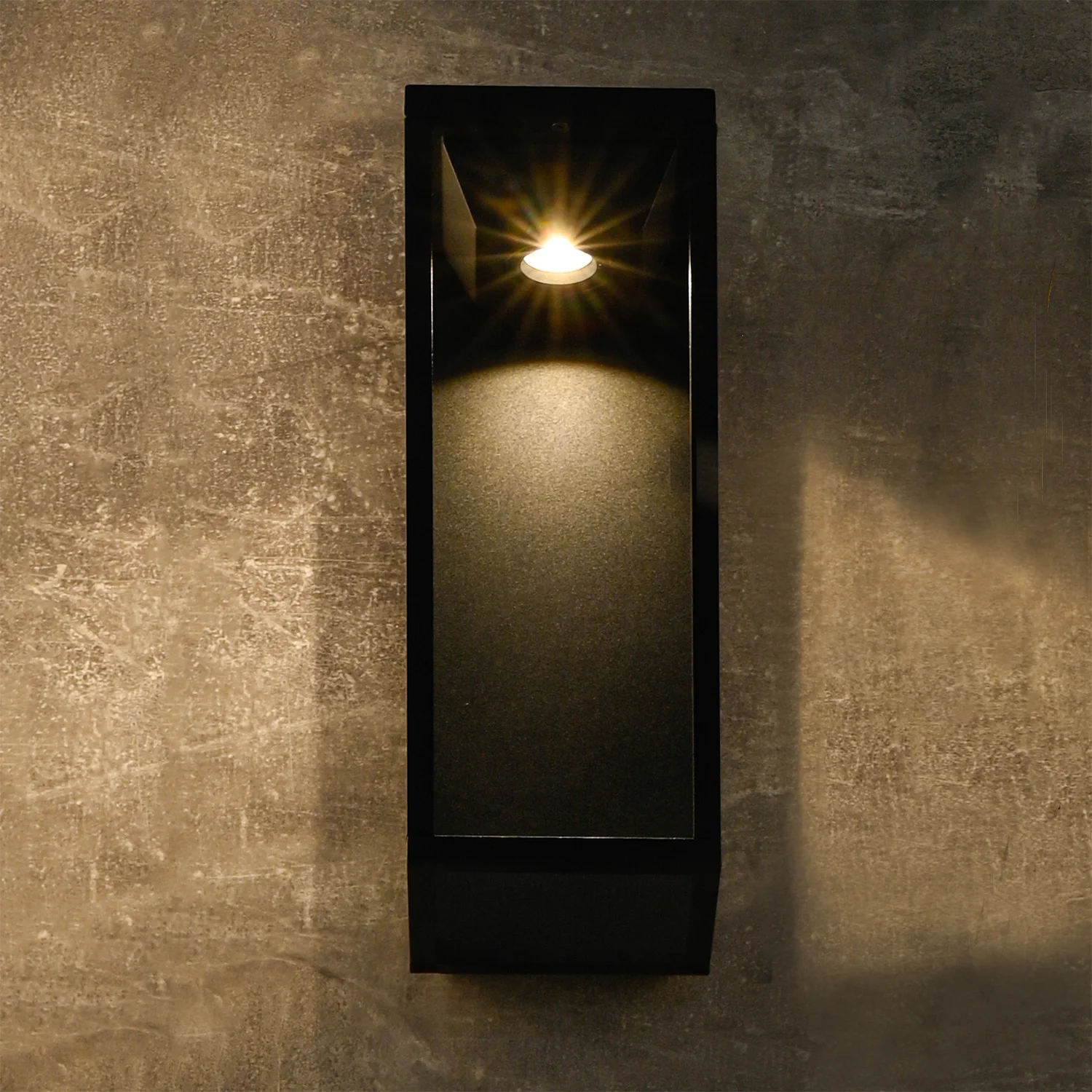 4386-1W Настенные светильники Favourite 4386-1W Tom