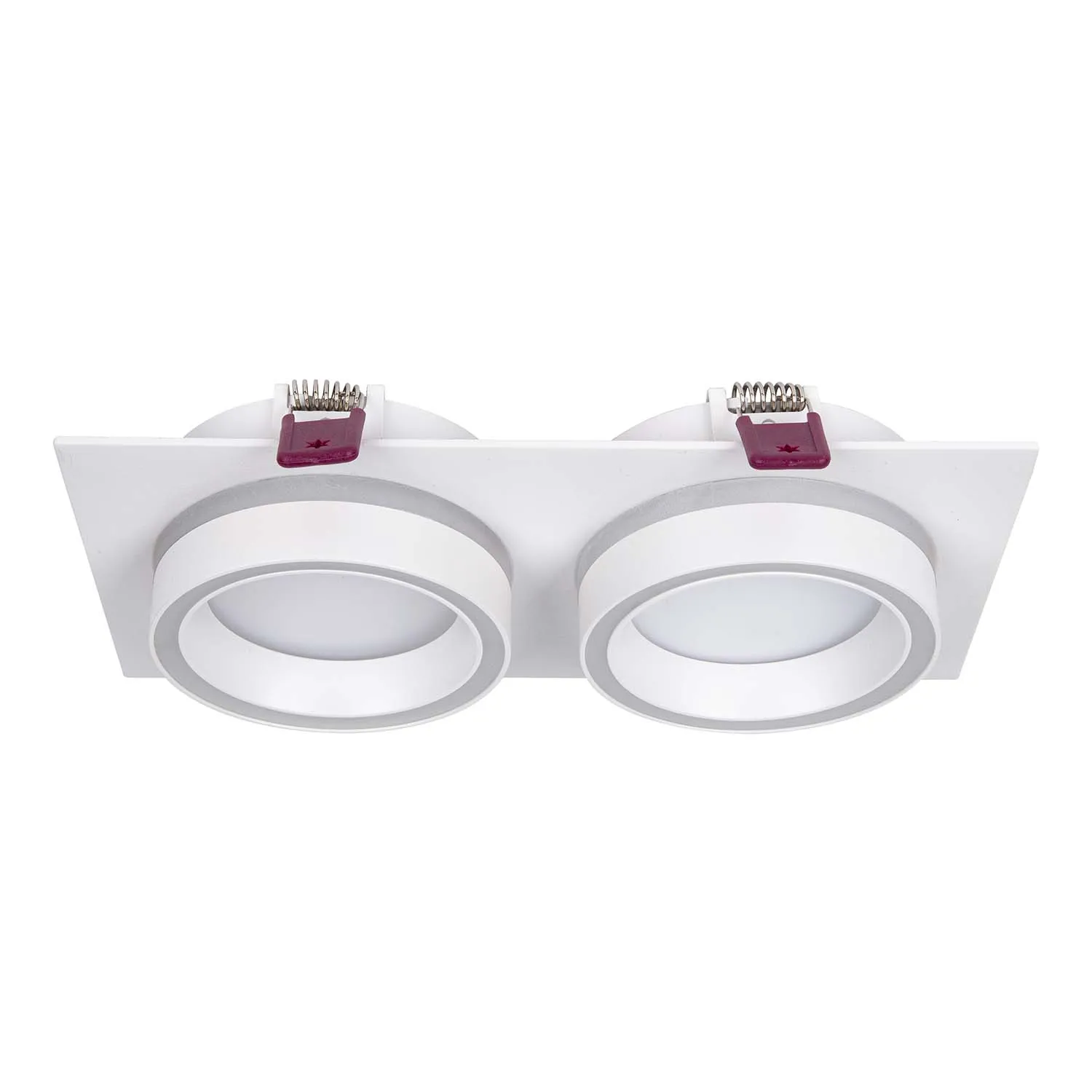 4650-2C Врезные потолочные светильники Favourite 4650-2C Vasto