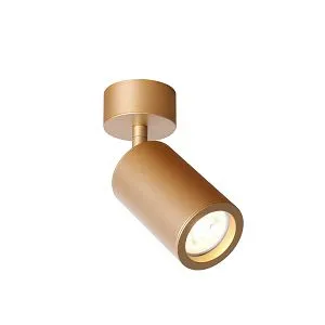 Потолочные светильники Favourite 2802-1U Angularis Потолочные светильники Favourite 2802-1U Angularis