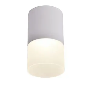 Потолочные светильники Favourite 3069-1C Naram