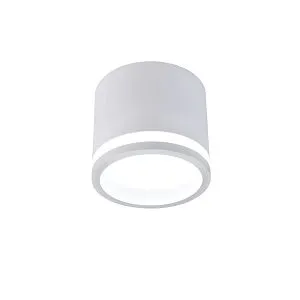 Накладные потолочные светильники Favourite 4213-1C Festum Накладные потолочные светильники Favourite 4213-1C Festum