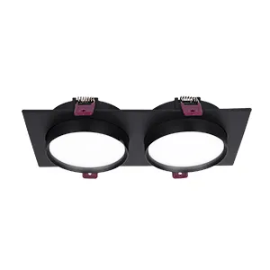 Врезные потолочные светильники Favourite 4648-2C Vasto