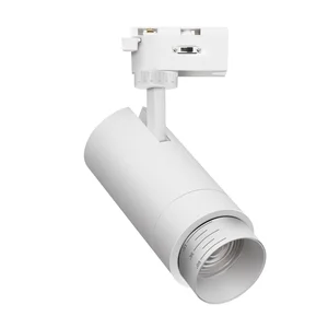 Светильники Practica Favourite 4868-1U Practica