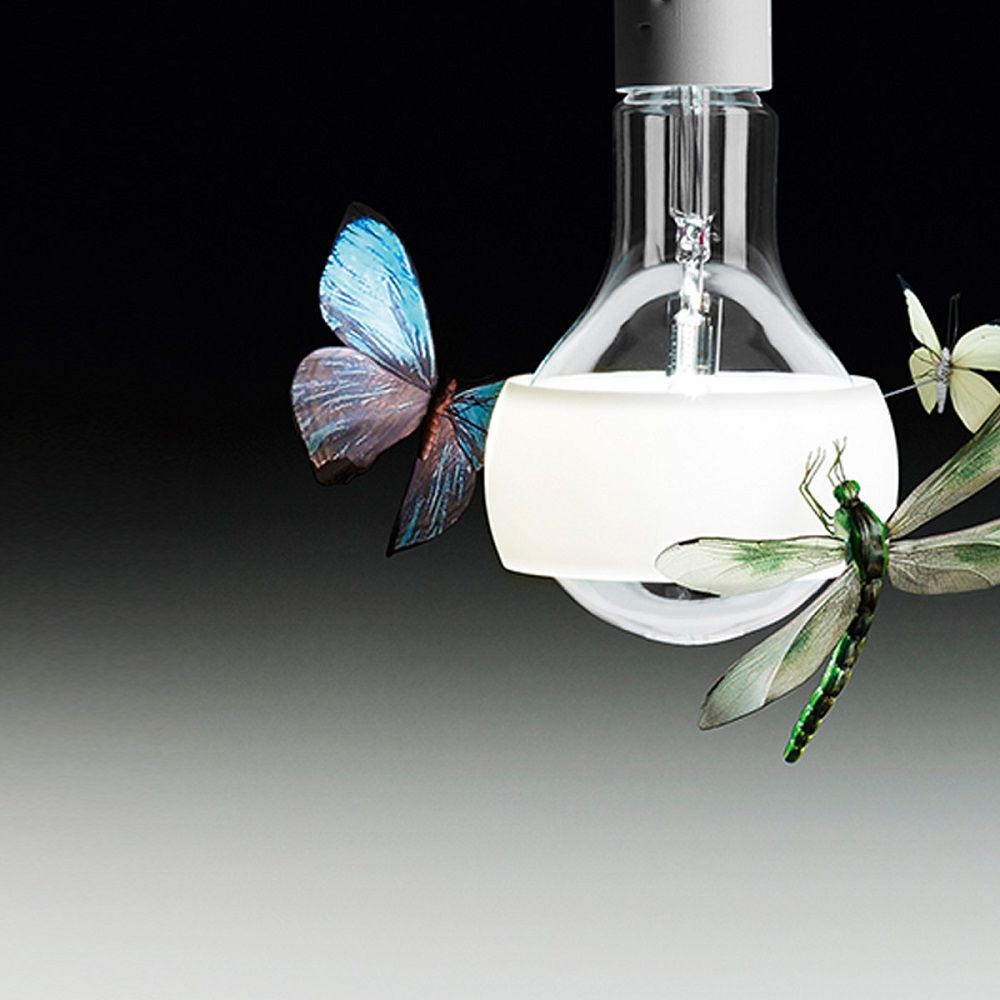 Гуру светового дизайна Гуру светового дизайна