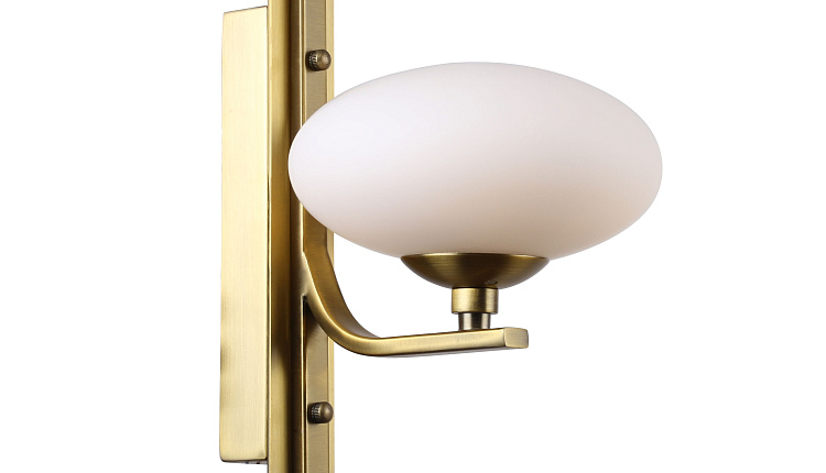 pernetti - новая коллекция Favourite 2019 pernetti - новая коллекция Favourite 2019