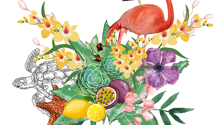 С Международным женским днем! С Международным женским днем!