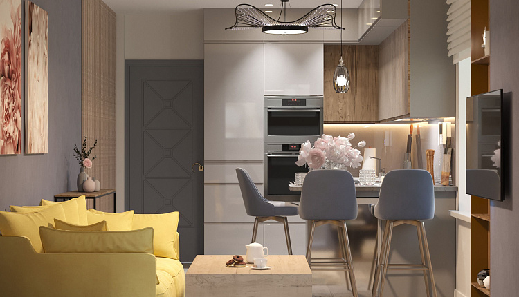 проект кухни-гостиной