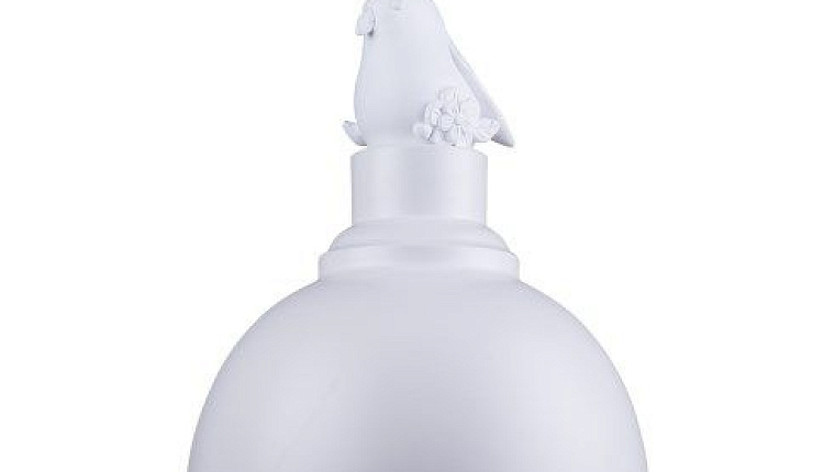 Акула и балетная туфелька Акула и балетная туфелька