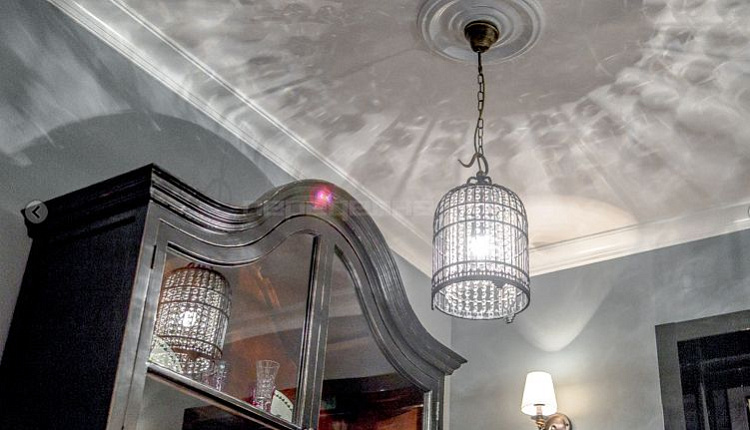 «Дачный ответ» на НТВ и FAVOURITE! «Дачный ответ» на НТВ и FAVOURITE!