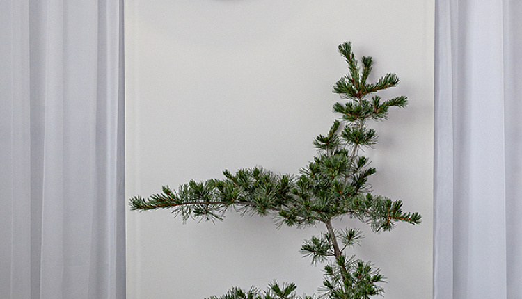 Главный партнёр по свету на выставке Open Village 2025 Главный партнёр по свету на выставке Open Village 2025