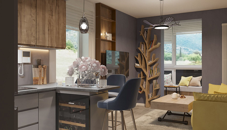 проект кухни-гостиной